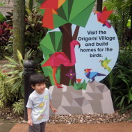 Save the Colour at the Jurong Bird Park
