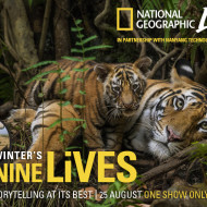 National Geographic Live with Steve Winter