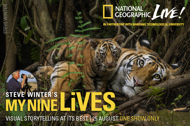 National Geographic Live Presents My Nine Lives with Steve Winter Credit to National Geographic Live