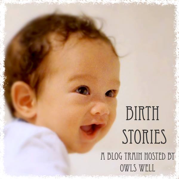 Deb's Birth Stories Button 