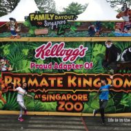 Kellogg’s Family Day Out at the Singapore Zoo